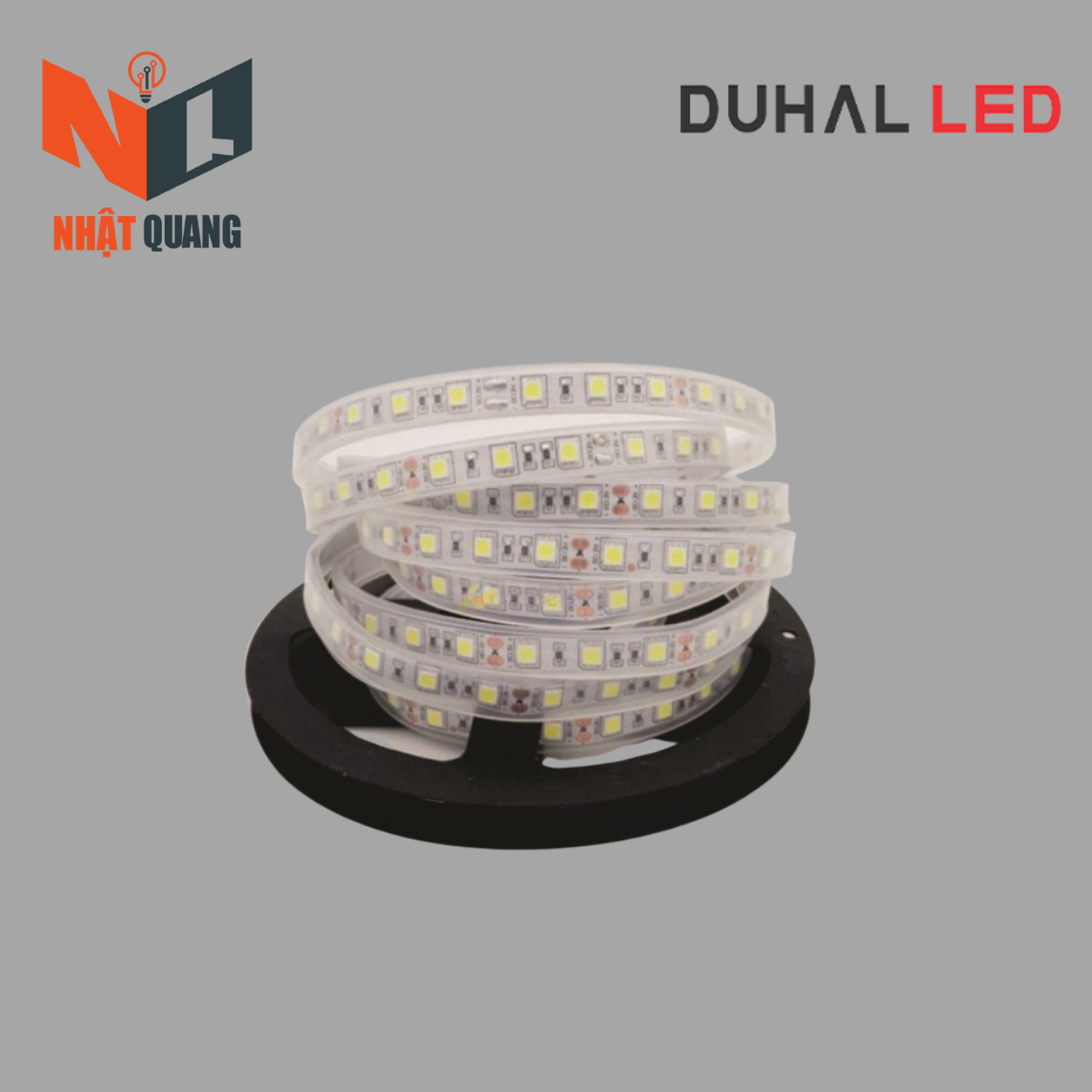 LED DÂY TRANG TRÍ 24VDC - LDC0241