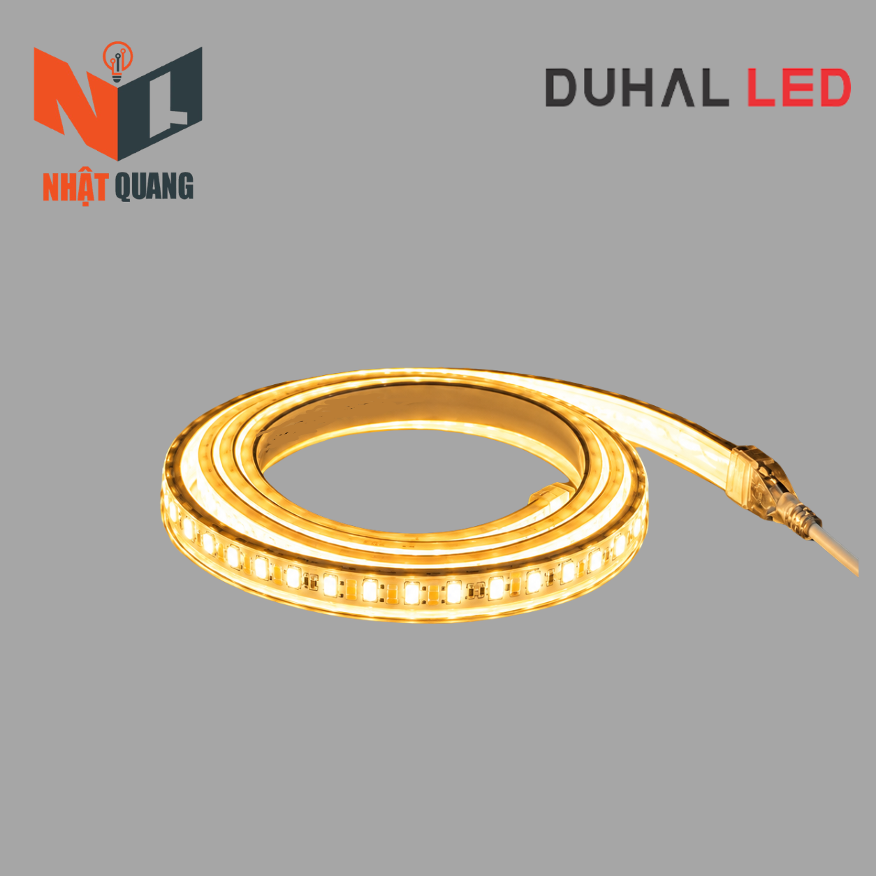 LED DÂY ÁNH SÁNG VÀNG - 2 DÒNG LED 6W/M - LDV03