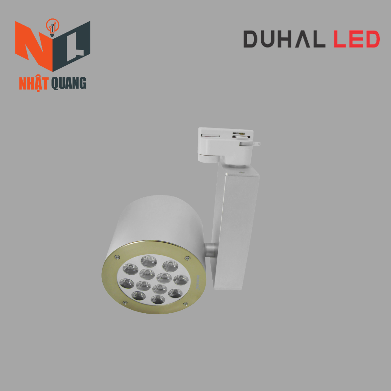ĐÈN LED CHIẾU ĐIỂM 12W - SDIA817