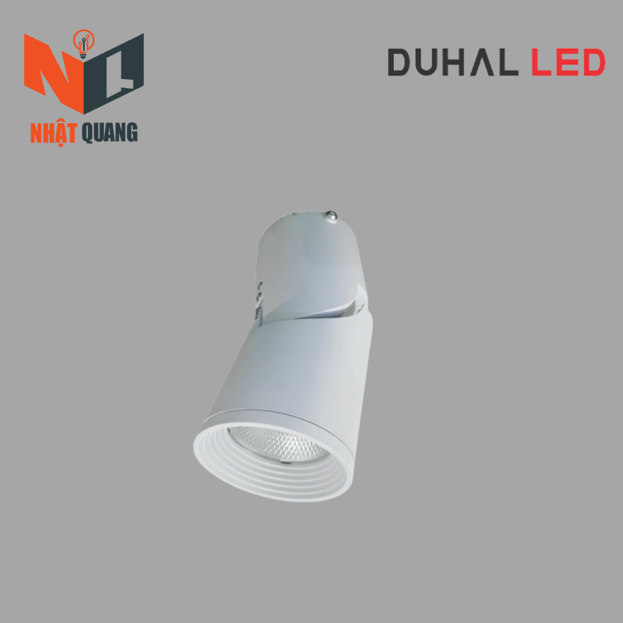 Đèn Led Gắn Nổi Chiếu Điểm Trang Trí 10W - DIB0105