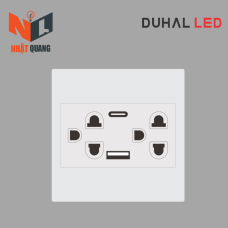 Bộ ổ cắm đôi 3 chấu 16A + USB + Type C - C1B457