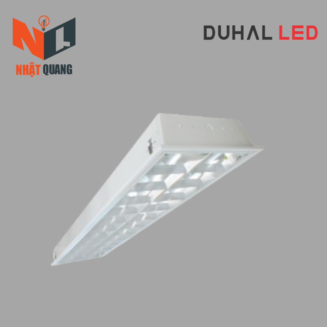 MÁNG ĐÈN PHẢN QUANG ÂM TRẦN 2x9W - LDA209