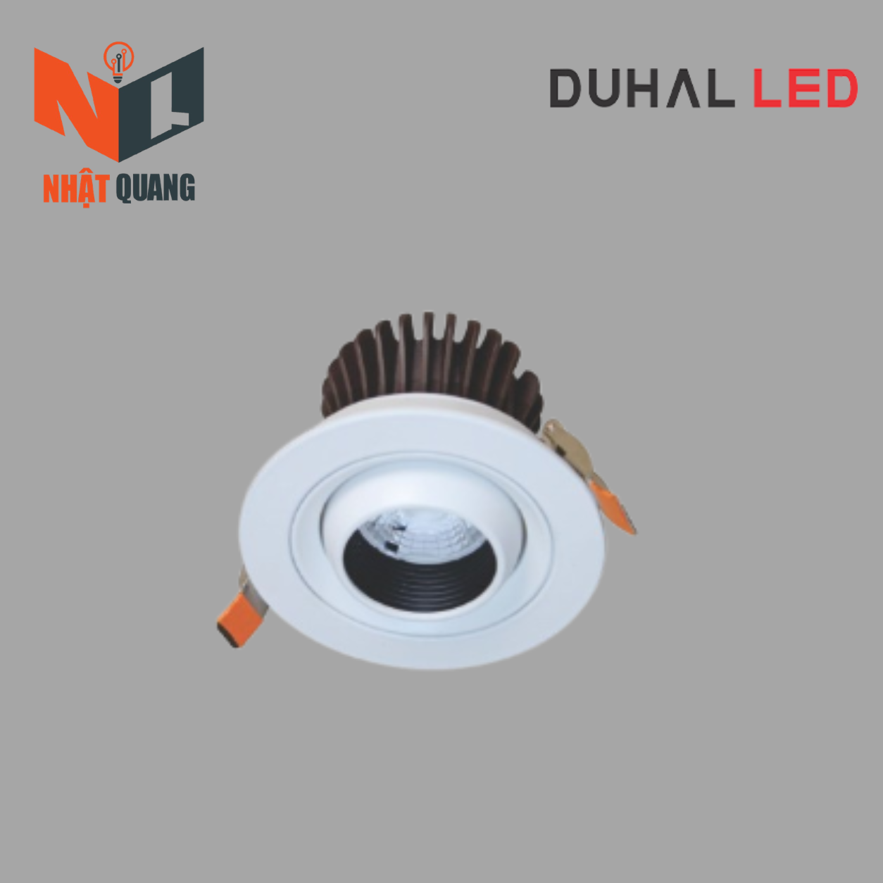 Đèn LED Downlight Xoay Chiếu Điểm Âm Trần 10W - DFA0104