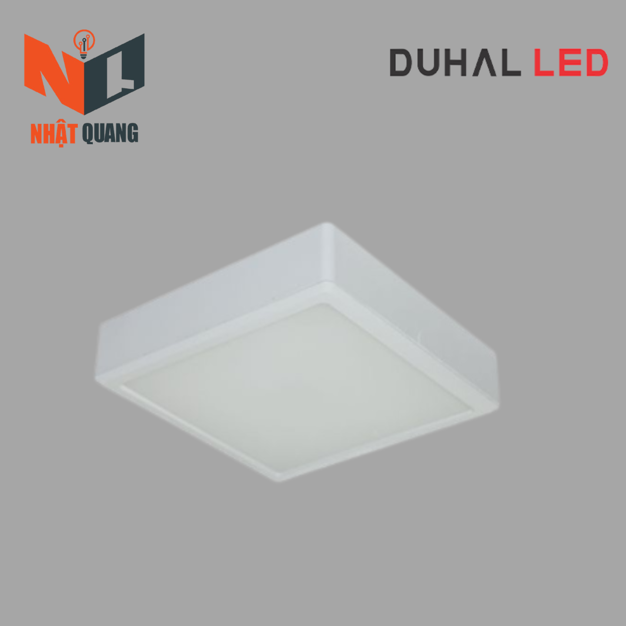 ĐÈN LED PANEL GẮN NỔI 22W - DGB0223