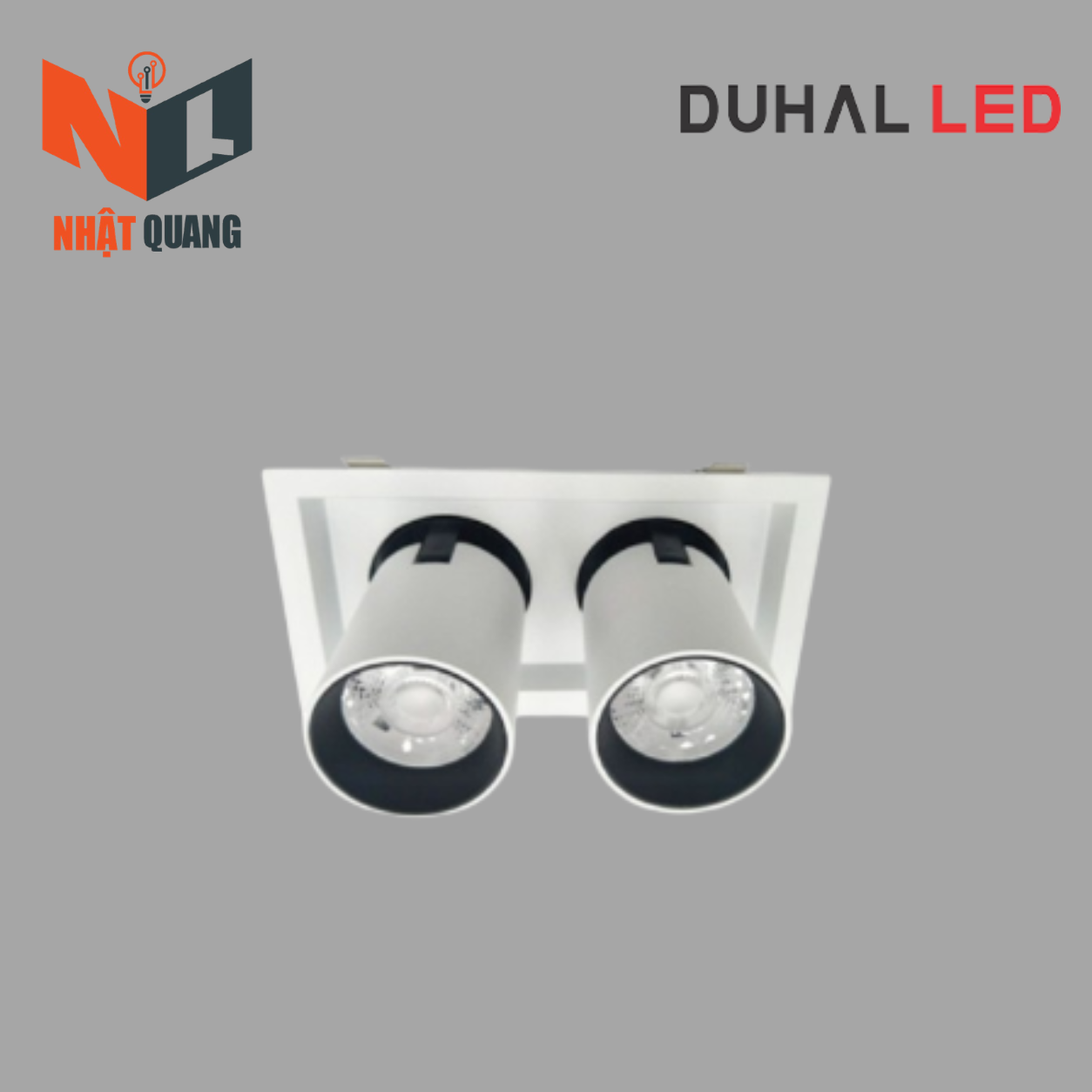 ĐÈN LED DOWNLIGHT CHIẾU ĐIỂM 2x30W - DFC2302