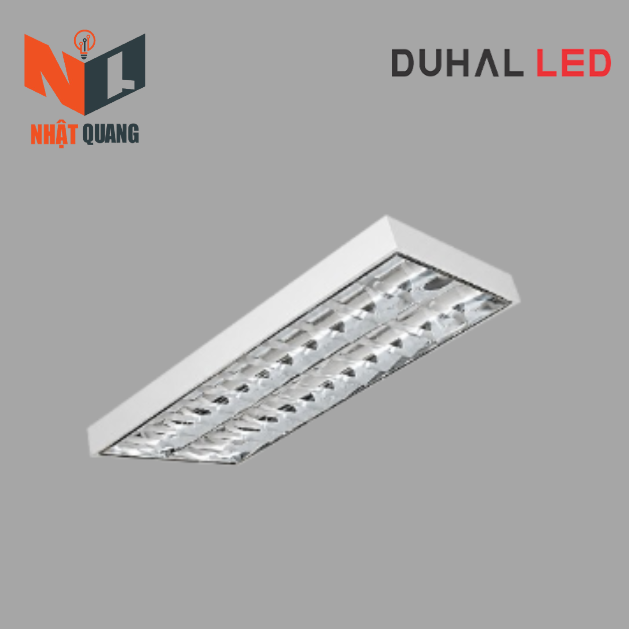 MÁNG ĐÈN PHẢN QUANG LẮP NỔI 2x18W - LDN6218