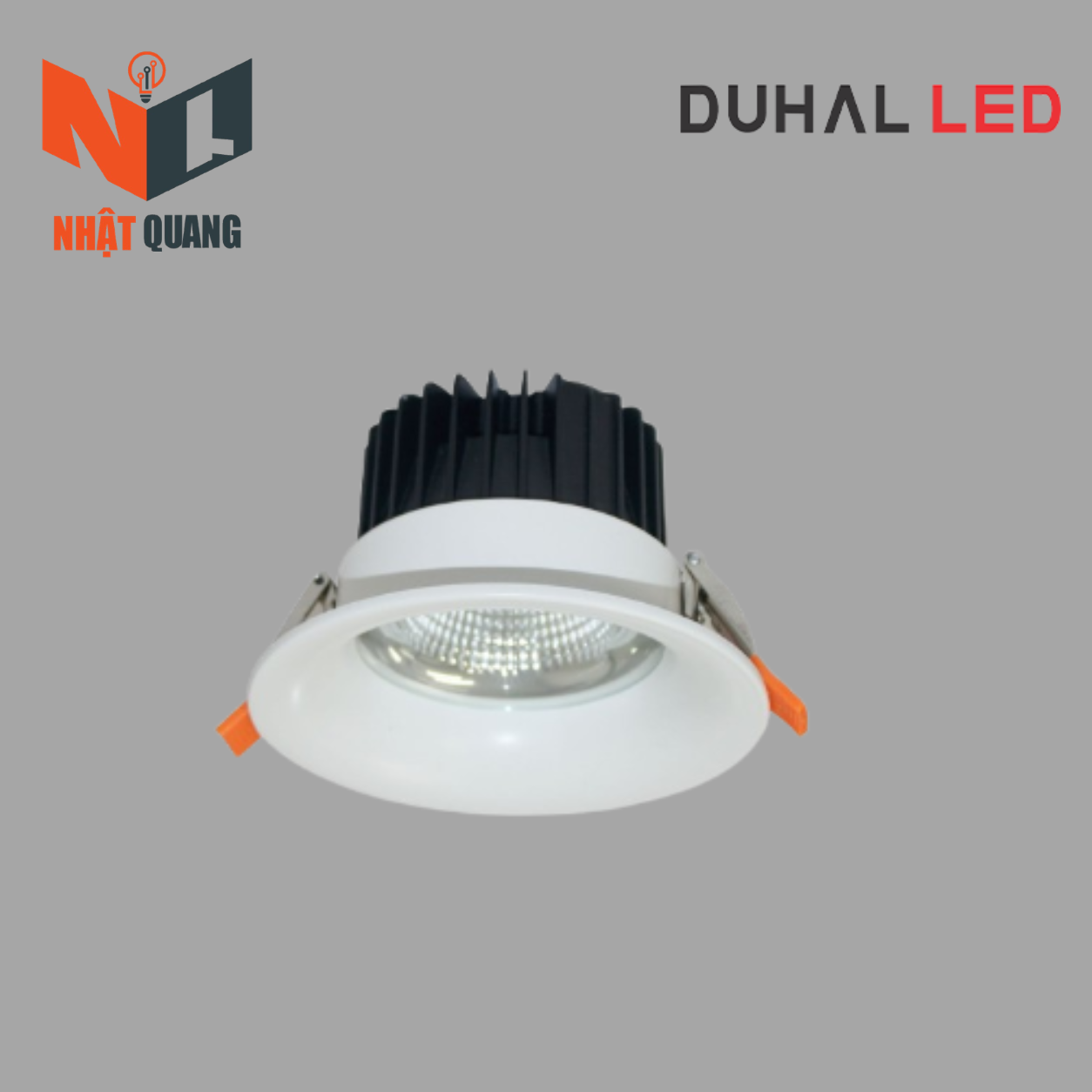 ĐÈN DOWNLIGHT CHIẾU SÂU TRẦN CAO 30W - DFA0305