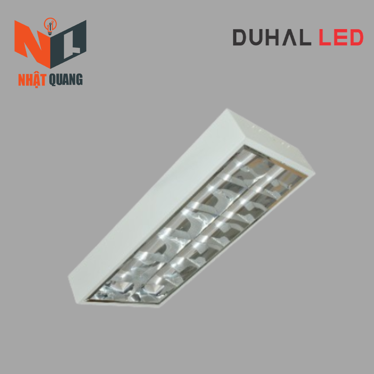 MÁNG ĐÈN PHẢN QUANG LẮP NỔI 2x9W - LDN209