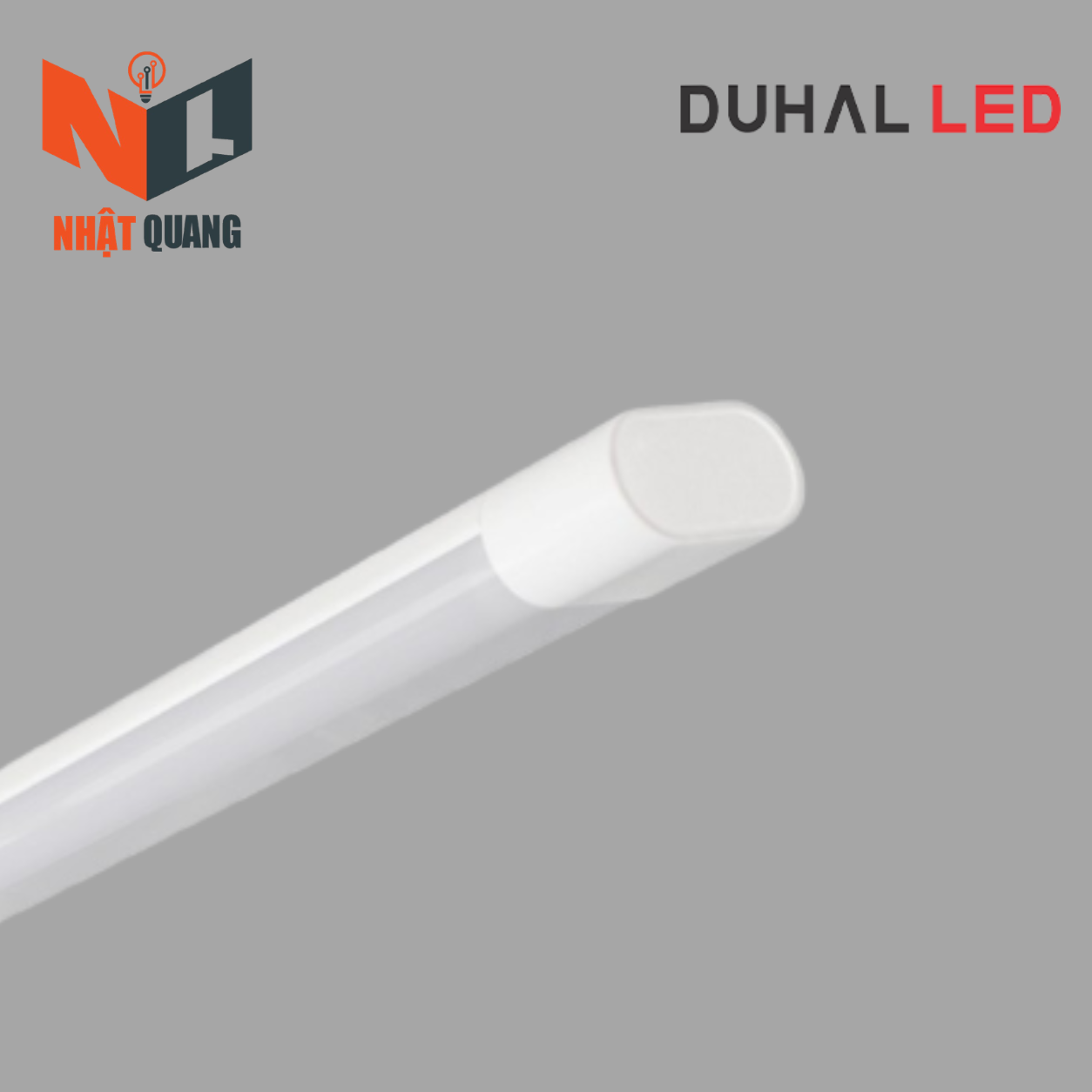ĐÈN BÁN NGUYỆT OVAL 60W - SDLD8601