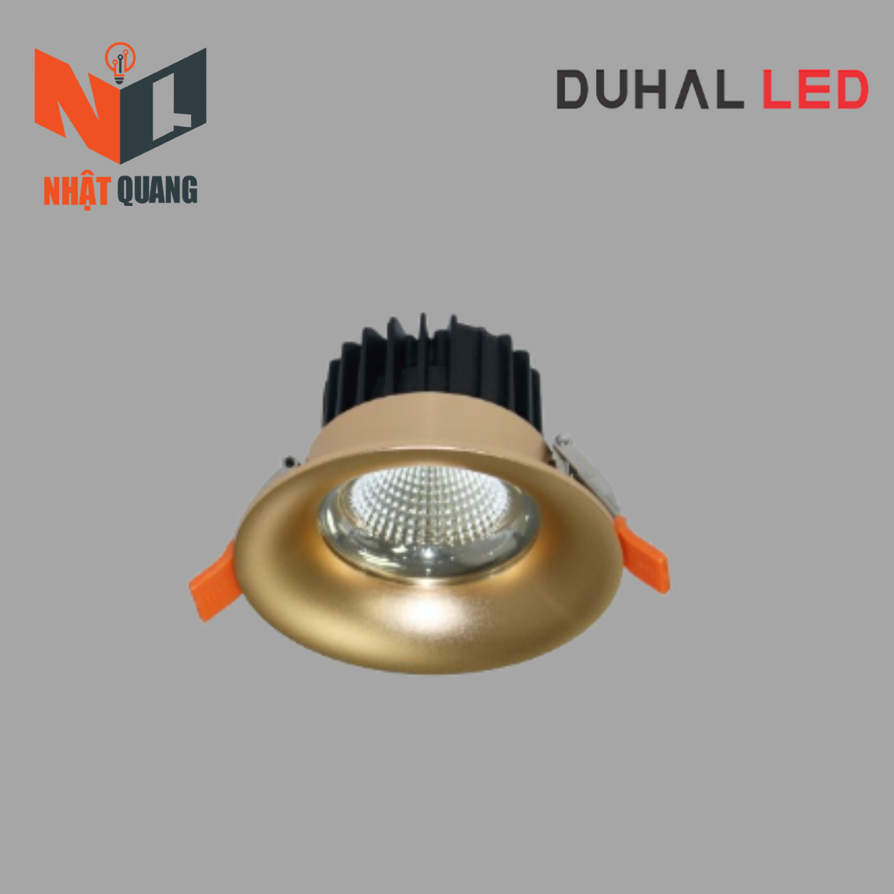 ĐÈN DOWNLIGHT CHIẾU SÂU TRẦN CAO 20W - DFA0205