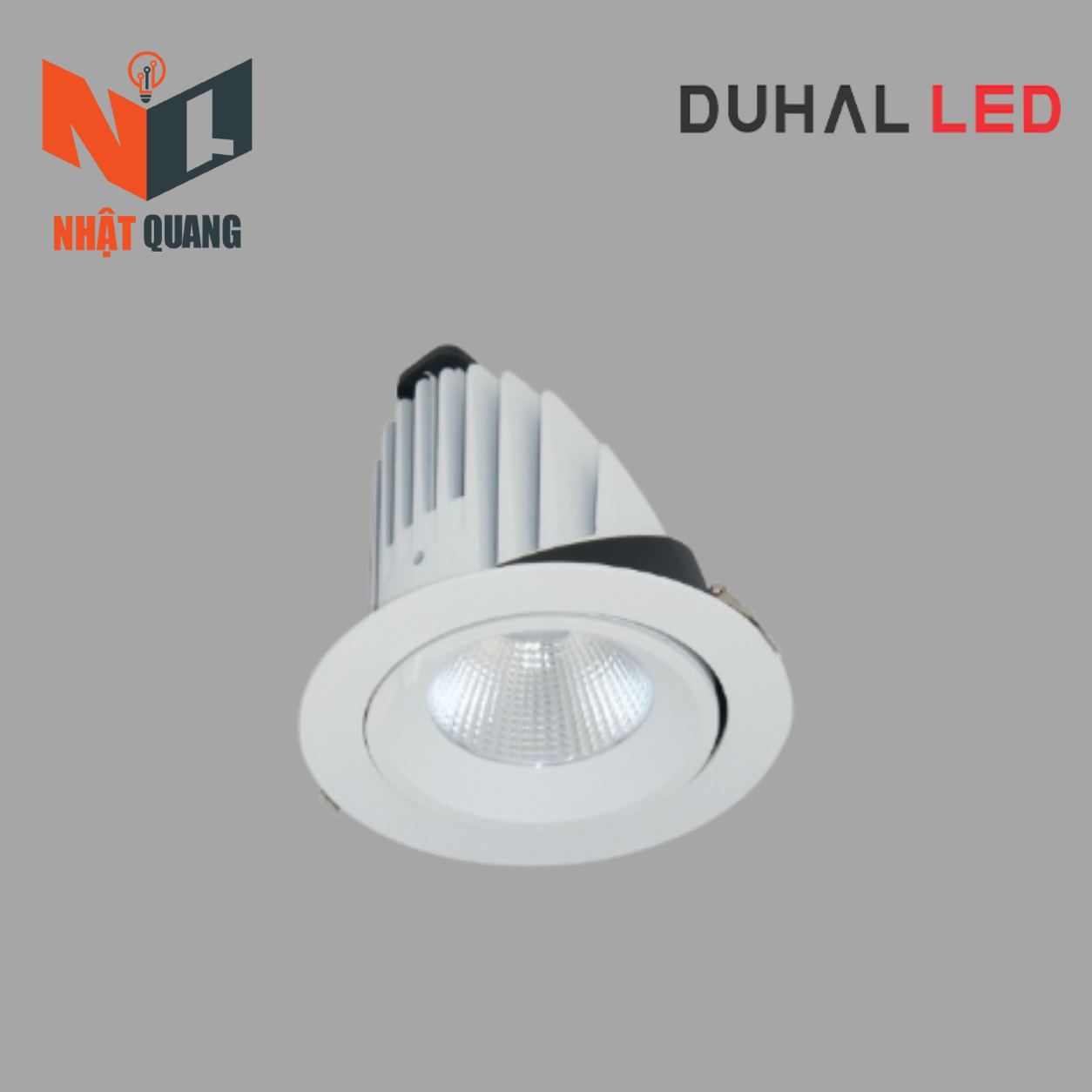 ĐÈN LED DOWNLIGHT CHIẾU SÂU 40W - BIB0401