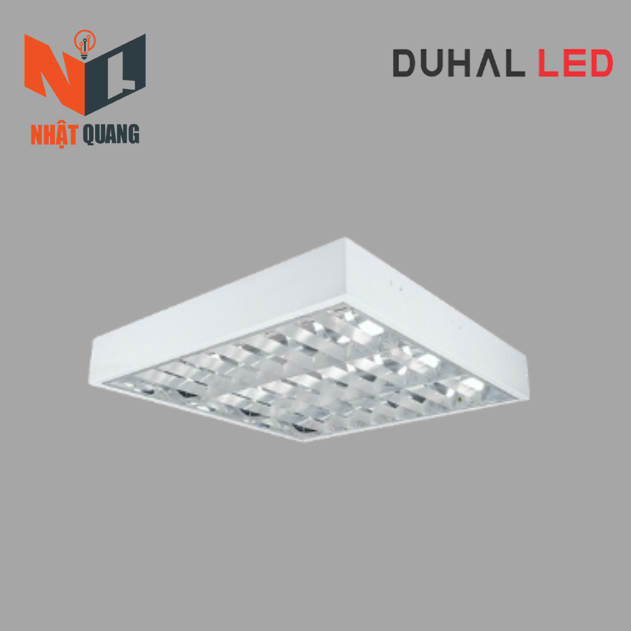 MÁNG ĐÈN PHẢN QUANG LẮP NỔI 3x9W - LDN309