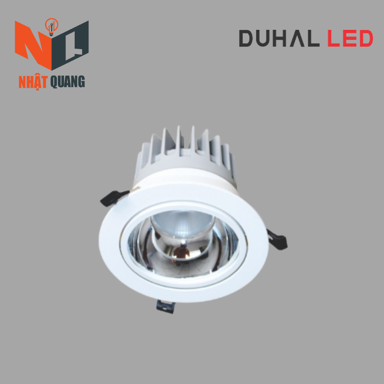 Đèn LED Downlight Chiếu Điểm Âm Trần 20W - DFA0202