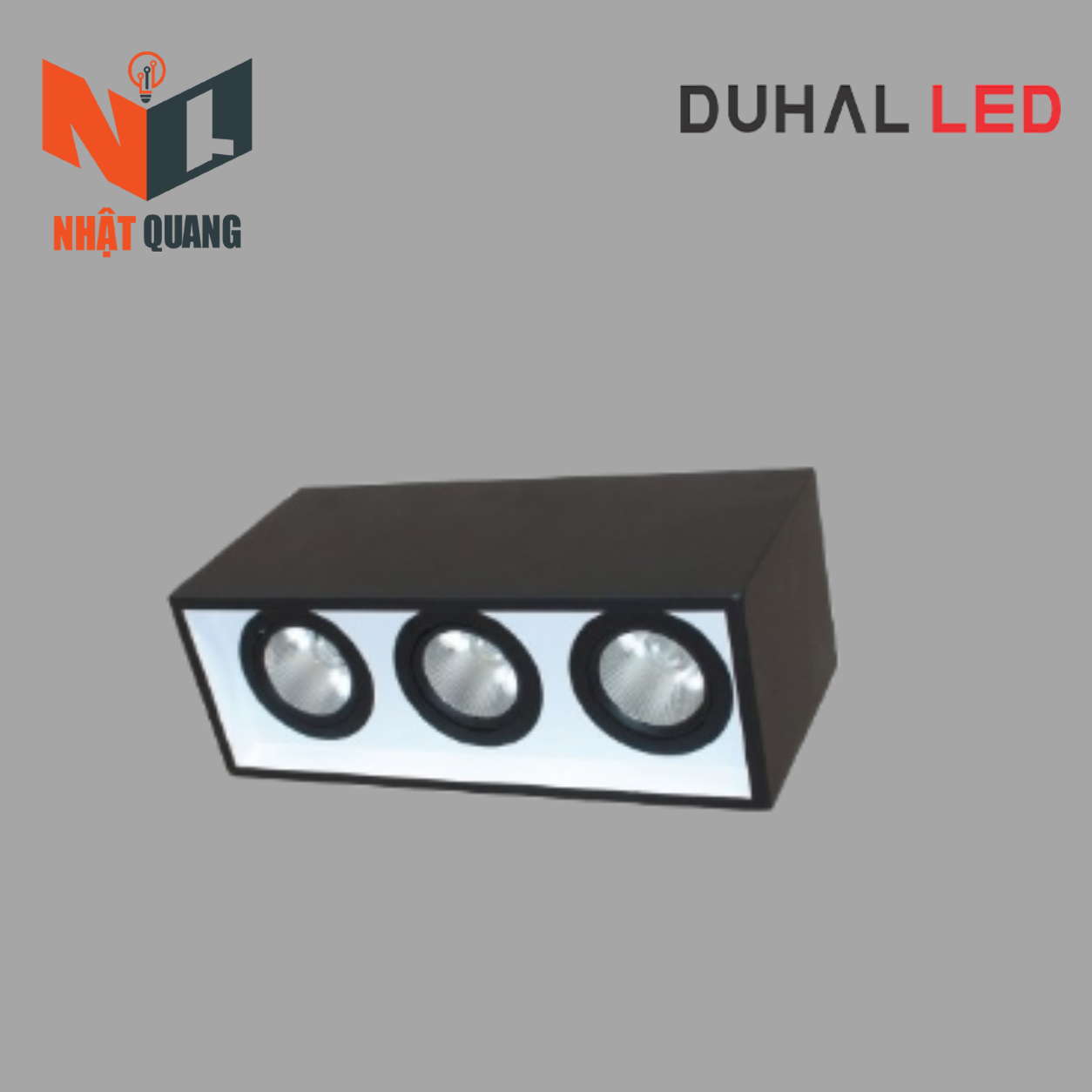 ĐÈN LED DOWNLIGHT GẮN NỔI CHIẾU SÂU 3x30W - DFB3301