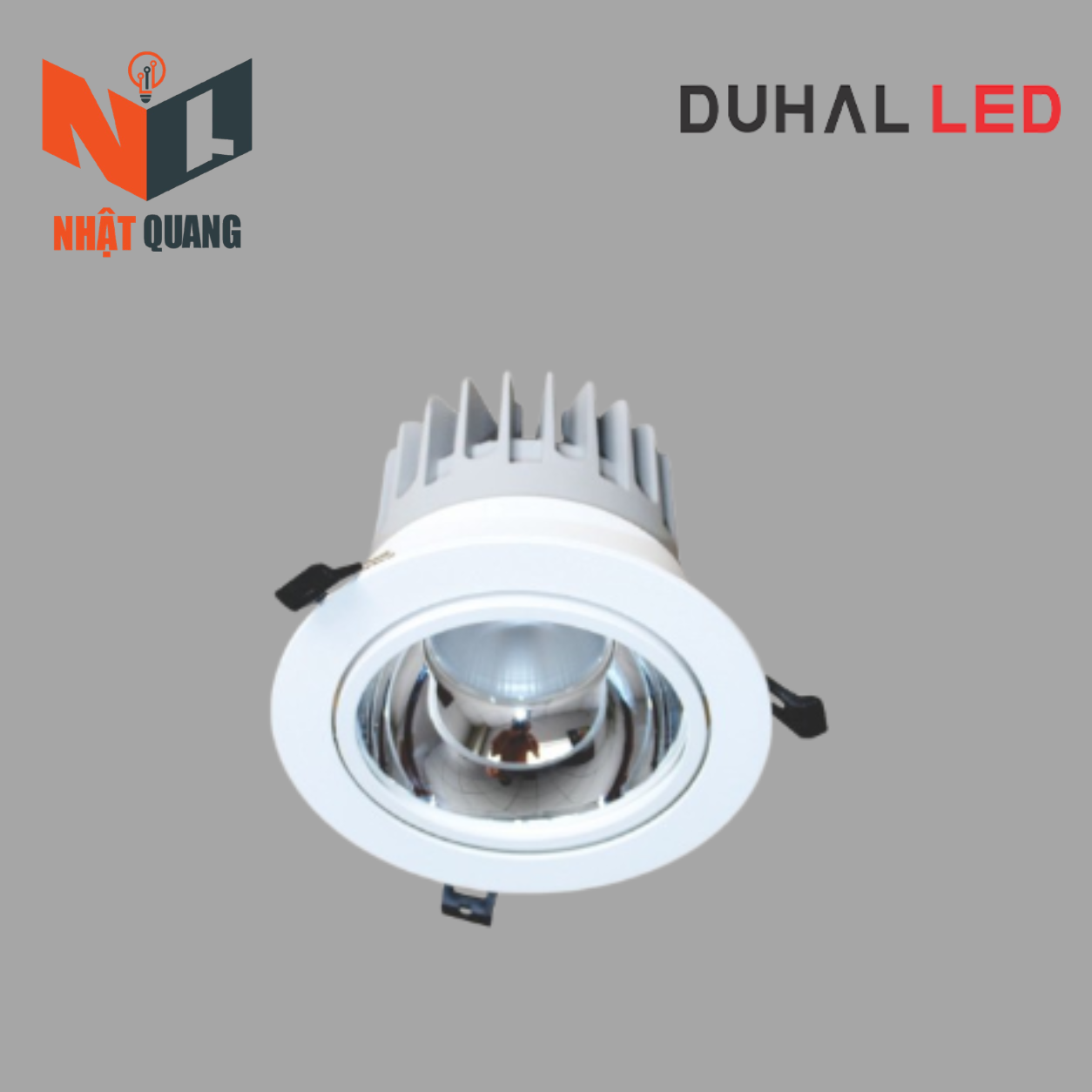 Đèn LED Downlight Chiếu Điểm Âm Trần 40W - DFA0402