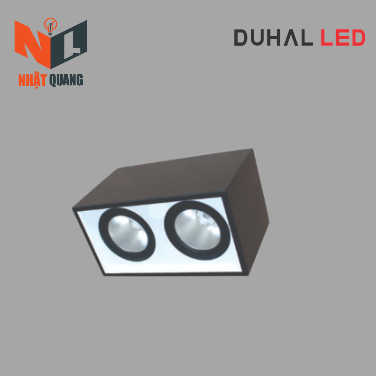 ĐÈN LED DOWNLIGHT GẮN NỔI CHIẾU SÂU 2x30W - DFB2301