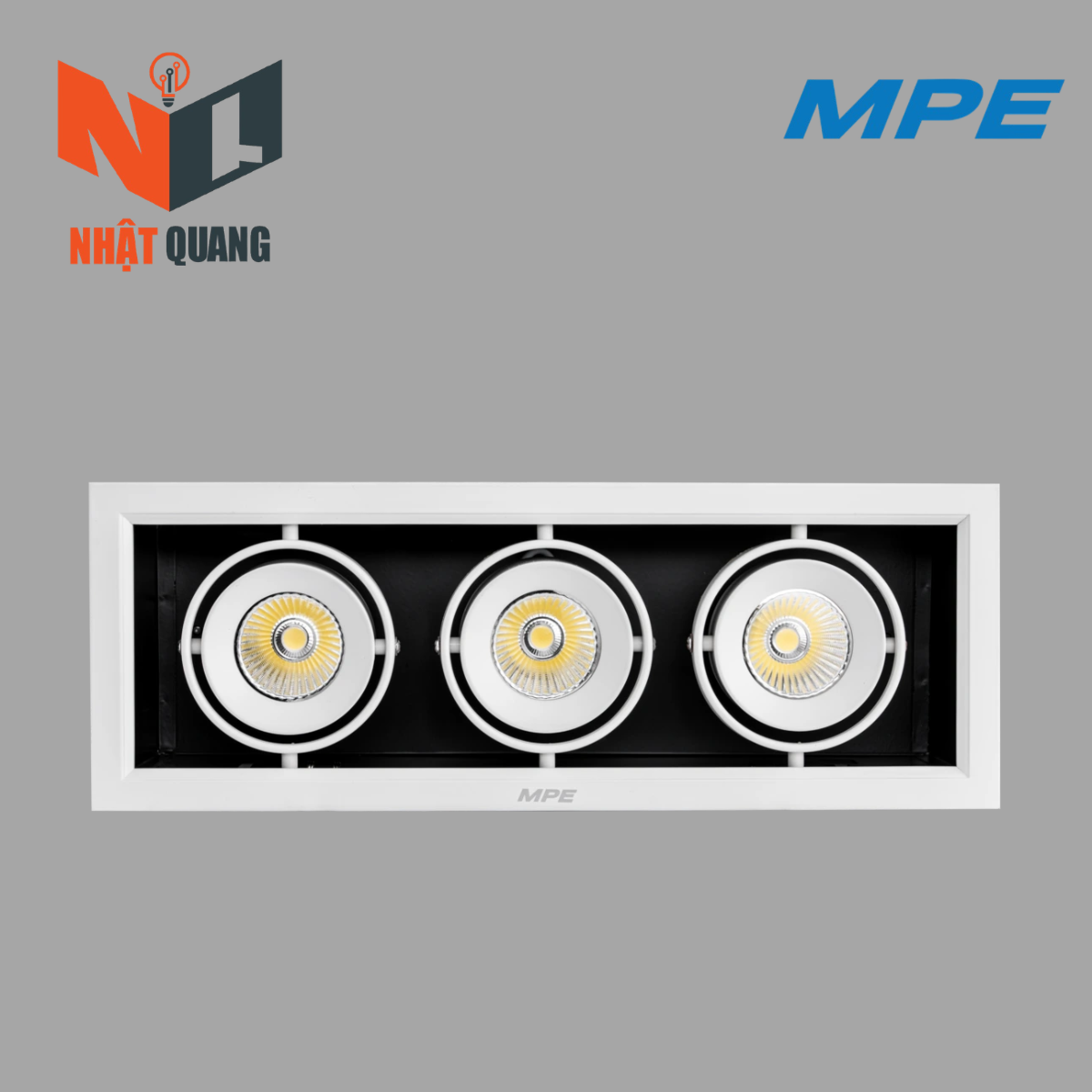 LED DOWNLIGHT CHIẾU ĐIỂM 3 ĐÈN 12W DLS-312T/N/V