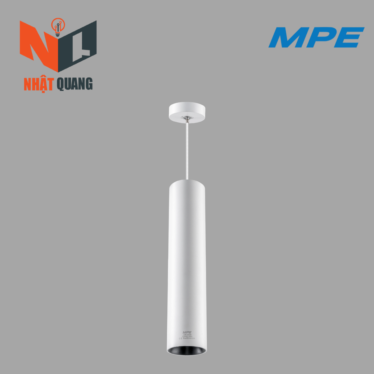 LED CHIẾU ĐIỂM DẠNG TREO 20W DPL-20V